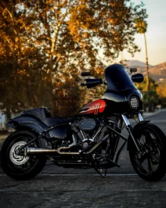 Harley-Davidson motorcycle with fuel-injected engine