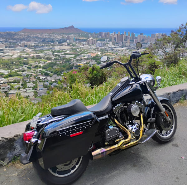 Knalpot Harley Davidson 2 in 1 Original Smoke Muffler